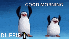 two penguins with their arms in the air with the words good morning duffie
