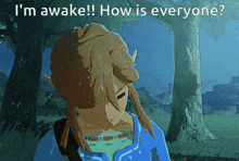 Im Awake Link GIF - Im Awake Link Legend Of Zelda GIFs