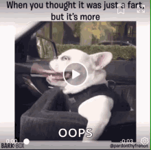Fart Dog GIF - Fart Dog Funny GIFs