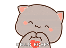a cartoon cat is holding a red heart in its paws and says hello bobby .