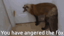 Fox Angry GIF - Fox Angry Angered GIFs