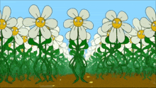 a bunch of daisies with faces on them are growing in a field