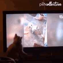 Watching Touching Hand GIF - Watching Touching Hand Television GIFs