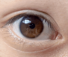 a close up of a person 's brown eye