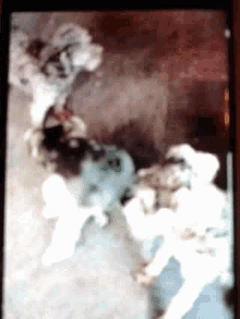 a blurry picture of a group of dogs laying on the floor