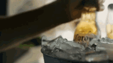 Corona Coronita GIF - Corona Coronita Beer GIFs
