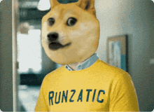 Dogecoin Runza GIF - Dogecoin Runza GIFs