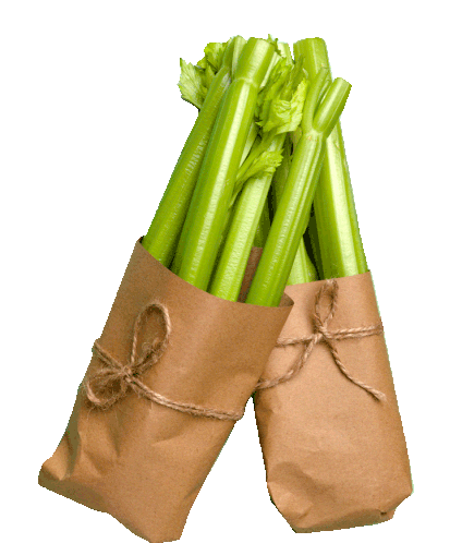 Celery Celery Juice Sticker - Celery Celery Juice Organic Stickers