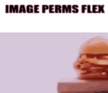 image perms flex