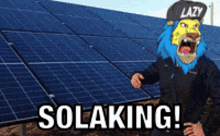 Solaking Lazy Hats GIF - Solaking Lazy Hats Free Energy From The Sun GIFs
