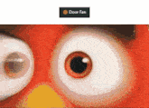 Chuddyfan Angry Birds GIF - Chuddyfan Angry Birds Door Fan GIFs