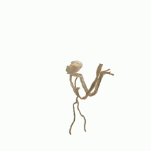 a drawing of a jellyfish is against a white backdrop