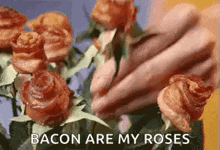 Baconbouquet Roses GIF - Baconbouquet Roses Whateverygirlwants GIFs