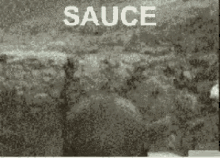 Sauce Scream GIF