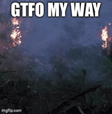 a picture of a fire with the words gtfo my way