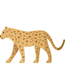 leopard nature joypixels agile fast