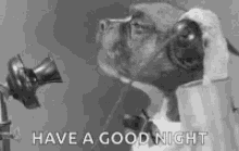 Animals Goodnight GIF - Animals Goodnight GIFs