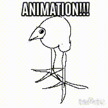 a black and white drawing of a bird with the words " animation !!! " above it
