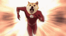 a dog with a flash costume on is running