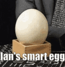 Ian Shapiro Egg GIF - Ian Shapiro Egg Smart GIFs
