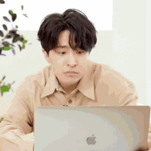 a man in a tan shirt looks at an apple laptop