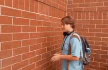 Figment Talking To A Wall GIF