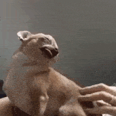 a dog is licking another dog 's face while sitting on a bed .