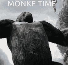 King Kong Monkey GIF - King Kong Monkey Monke GIFs