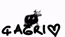 çağrı Cagri GIF - çağrı Cagri Cagri Budis GIFs