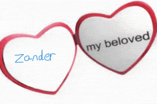 a pair of heart shaped glasses that say " my beloved zander "