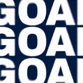 Luke Evangelista Preds Goal GIF - Luke Evangelista Preds Goal Let'S Go Preds GIFs