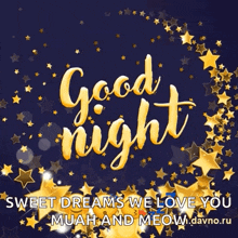 a greeting card that says good night and sweet dreams we love you muah and meow