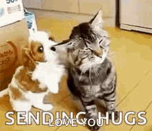 Hug Annoyed GIF - Hug Annoyed Play Time GIFs