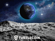 Turtlecoin Space GIF - Turtlecoin Space Turtles GIFs