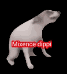 Mixence Dippi Meme
