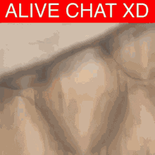Alive Chat Alive Chat Xd GIF - Alive Chat Alive Chat Xd Pornhub GIFs