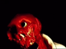 a close up of a person 's face covered in blood