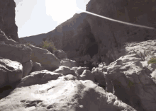 a group of people are walking down a rocky path