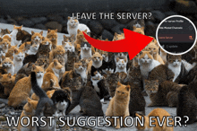 a bunch of cats with a red arrow pointing to the leave server button