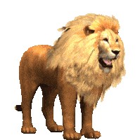 Lion Wild Sticker - Lion Wild Roar Stickers