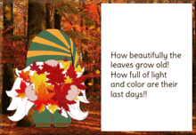 autumn gnome animated card