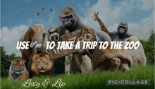 a group of animals holding a sign that says zoo on it