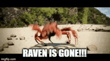 Raven Is Gone Raven GIF - Raven Is Gone Raven Tge GIFs
