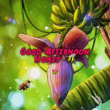 Good Afternoon Honey GIF - Good Afternoon Honey Bee GIFs