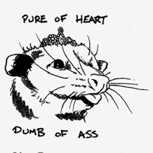 Pure Of Heart Dumbass GIF - Pure Of Heart Dumbass Possum GIFs