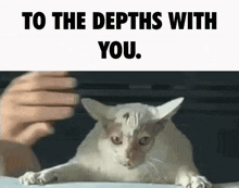 To The Depths With You Cat GIF - To The Depths With You Cat Depths GIFs