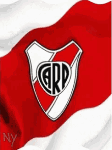 River Plate GIF - Riverplate Flag Carp GIFs