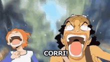 One Piece Anime Giapponese Corri Correre Scappare GIF