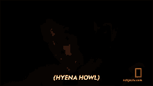 Hyena Howl Is That Hyenas The Great Human Race GIF - Hyena Howl Is That Hyenas The Great Human Race A Scare In The Night GIFs