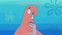 Tell Me Winning Niches GIF - Tell Me Winning Niches GIFs